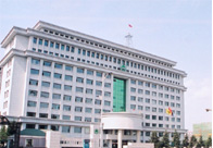 Forestry Group Building