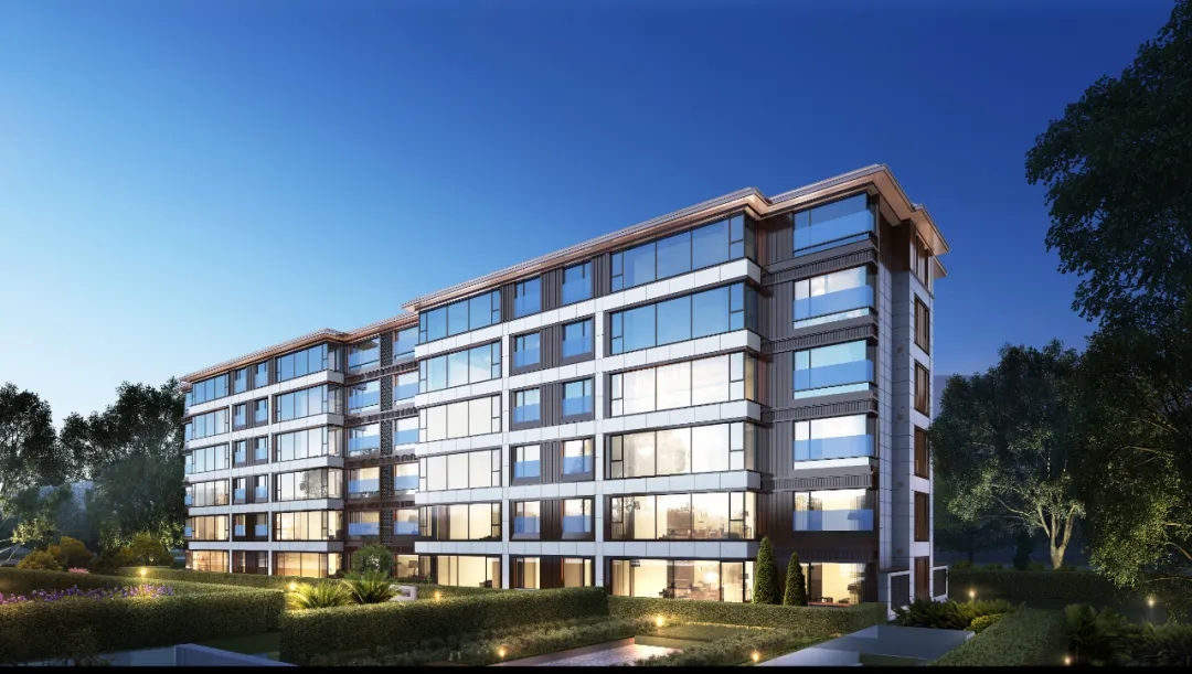 99久久久无码国产精品性