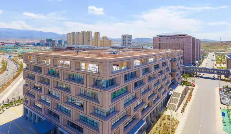 99久久久无码国产精品性